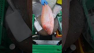 Red snapper fillet 03 cuttingskils fishfillet fypシ゚viral [upl. by Fiden]