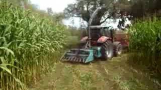 Corn Silage by AGRIxBOY 2008 1ºpart [upl. by Irtimd664]