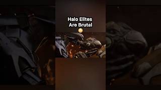 Halo Elites Are Brutal 😳 [upl. by Tehr]