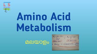 Amino Acid Metabolism  Protein  Biochemistry  Malayalam [upl. by Che]