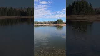 Cornwall Creek Flooding dam repair low water levels [upl. by Irihs]