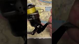 Penn Sargus 4000 fishing reel of the day fish [upl. by Coleman906]