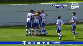 Formação Sub15  FC PortoPenafiel 30 CN Jun C 2ª fase Série Norte 13ª jornada 120317 [upl. by Dierdre653]