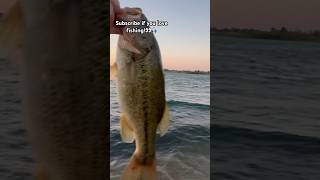 Nice 35 lber 🎣👀viralvideo bassfishingismylife bassfishinglife youtubeshorts bass [upl. by Prakash134]