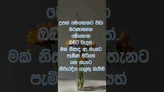 The time has come to find Nirvana නිවන් දකින්න කාලය පැමිණ ඇත [upl. by Nolyat]