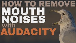 Remove Mouth Noises and Clicks with Audacity The Ultimate Guide [upl. by Yevre]