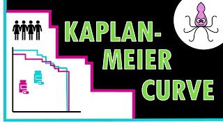 How to interpret KAPLANMEIER curves  Easily explained [upl. by Dorisa]