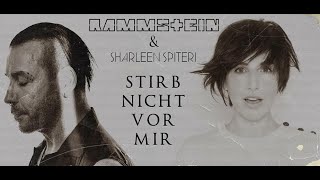 Смысл Stirb Nicht Vor Mir Rammstein за 40 секунд [upl. by Adnir]