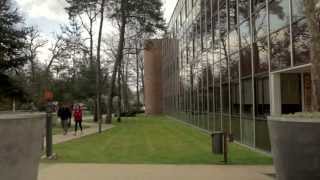 INSEAD MBA Career Development [upl. by Aicul787]