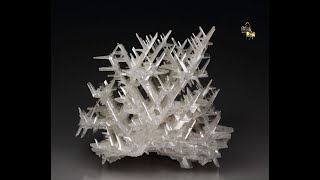 21533  Reticulated CERUSSITE Nakhlak Mine [upl. by Ardnnek448]