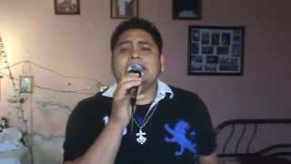 Mi alma Reclama  los temerarios  cover [upl. by Nolrev]