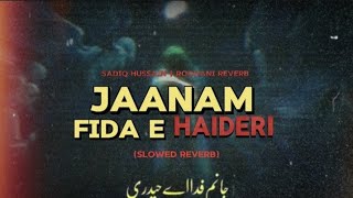 Jaanam Fida E Haideri  Slowed  Reverb  Sadiq Hussain  Kalam e Haider e Karar Mola Ali AS [upl. by Ottavia]