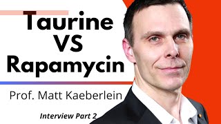 Taurine vs Rapamycin  Prof Matt Kaeberlein Ep2 [upl. by Ykcub]