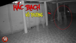 HẮC BẠCH VÔ THƯỜNG Xuất Hiện Bắt Hồn Ma  Phim Ma  Roma Vlogs [upl. by Eerized687]