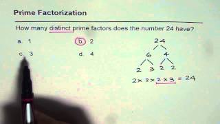 01 Distinct Prime Factors for 24 [upl. by Loy886]