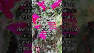 flowers ingenieras mujeresstem parati nature consejoparamujeres skincare tipsparamujeres me [upl. by Draw22]