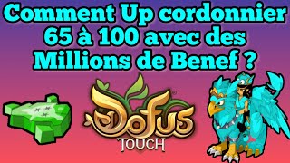 DOFUS TOUCH Comment UP CORDONNIER 65 à 100 [upl. by Einnus]