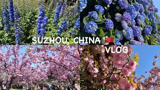 China Suzhou  Shangfang Mountain Forest Park Suzhou Guan Qian Street 观前街 🇨🇳🌷🪻🛍️ [upl. by Belak]