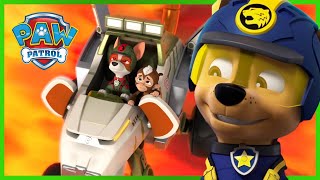 Tracker and Jungle Pups save animals from the Volcano  PAW Patrol Episode  Cartoons for Kids [upl. by Odyssey]