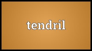 Tendril Meaning [upl. by Bohon]