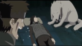 Funny Moment  Neji Mistakes Akamaru for Kiba  Naruto Shippuuden [upl. by Leinoto195]