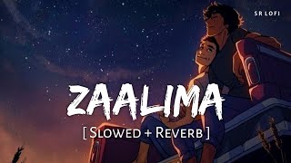 Zaalima Slowed  Reverb  Arijit Singh Harshdeep Kaur  Raees  SR Lofi [upl. by Emoreg]