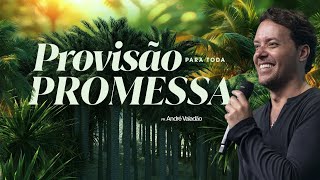 PROVISÃO PARA TODA PROMESSA  ANDRÉ VALADÃO [upl. by Androw]