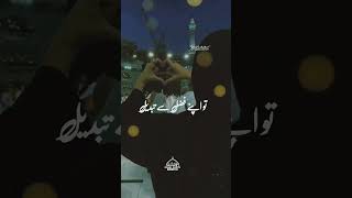 Mere Mola Mere Khalik Mere Guffar islamiclove travel love funny shortvideo [upl. by Aracal]