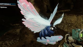 Reports of a unique Lucent Moth in the Miasma  Lepidopterist  Destiny 2 [upl. by Amalbena]