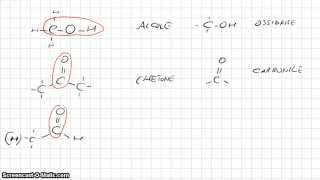 Chimica Organica  Gruppi funzionali parte 1 [upl. by Wamsley807]