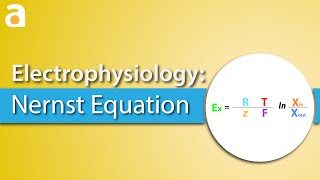 Electrophysiology Nernst Equation [upl. by Skipton]