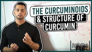 Curcumin Chemistry and the Curcuminoids [upl. by Nnomae607]