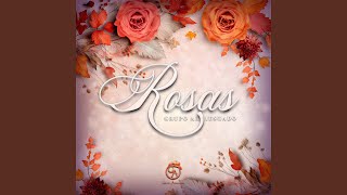 Rosas [upl. by Marybeth]