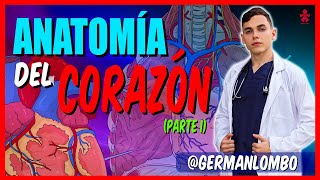 TEMA 1  ANATOMÍA DEL CORAZÓN  Generalidades y Configuración Externa [upl. by Dulcia]