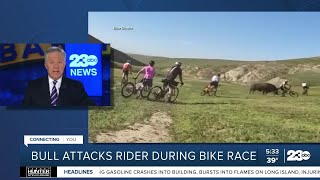 Bull strikes 4 bicyclists during Rock Cobbler Race near Bakersfield [upl. by Nylloh]