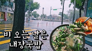 적적한 마음을 8000원짜리 내장국밥으로 달랩니다 [upl. by Coussoule]