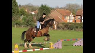 Mottingham farm riding centre [upl. by Karb545]