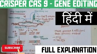 Crisprcas9  Genome editing  In hindi and english [upl. by Tollman]