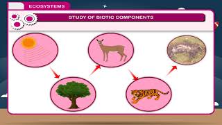 Ecosystems class8 [upl. by Chad]