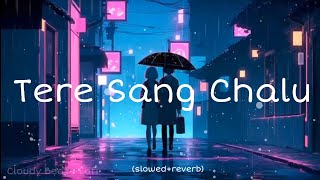 New Love❤️ Song quotTere Sang Chaluquot slowedreverb [upl. by Arlyn]