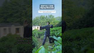 Tai Chi Teaching kungfu taichi taichichina chineseculture taichiforhealth taichilife [upl. by Catherine297]