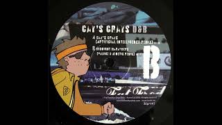 Fat Freddys Drop  Cays Crays Artificial Intelligence Remix [upl. by Dimmick471]