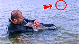 Man Saves A Dolphin Calf What Happened Next Was Incredible [upl. by Matrona221]