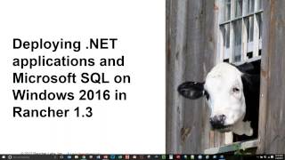 Getting Started with Windows Containers in Rancher  January 2017 Online Meetup [upl. by Khorma]