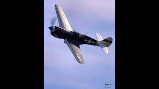 P40 N Warhawk lowpass airshow aviation warbirds avgeek [upl. by Tigges764]