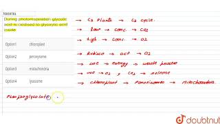 During photorespiration glycolic acid is oxidised to glyoxylic acid inside [upl. by Ahsilram]