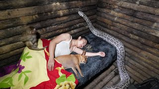 While Sleeping a Large Python Attacks and Prepares to Constrict Huyen P2  Series I [upl. by Pratte]