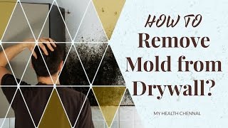 How to Remove Mold from Drywall  Ways to Remove Mold and Mildew [upl. by Vel628]