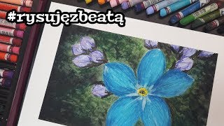 Rysujemy niezapominajkę pastelami olejnymi  Oil pastels speed drawing [upl. by Yerffoeg647]