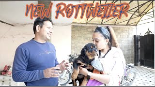 Finally New Family Member Most Aggresive Rottweiler Dog Came Home  TYAGI ROTTWEILERS  NAMITAOLOGY [upl. by Clo]